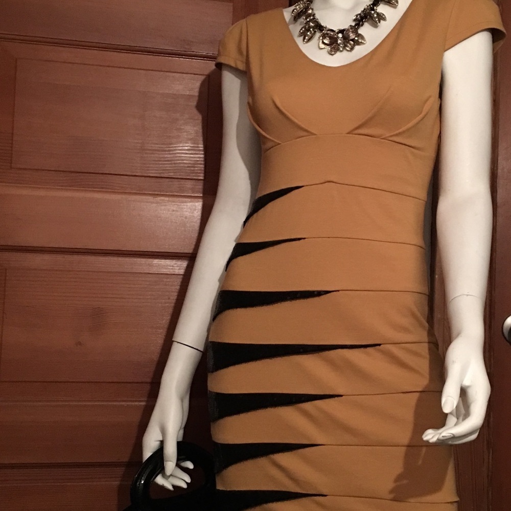 Pole&Pole Exclusive Mustard Color Stretch Dress View 2